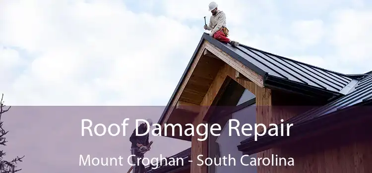 Roof Damage Repair Mount Croghan - South Carolina