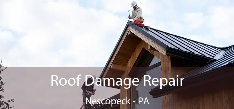 Roof Damage Repair Nescopeck - PA