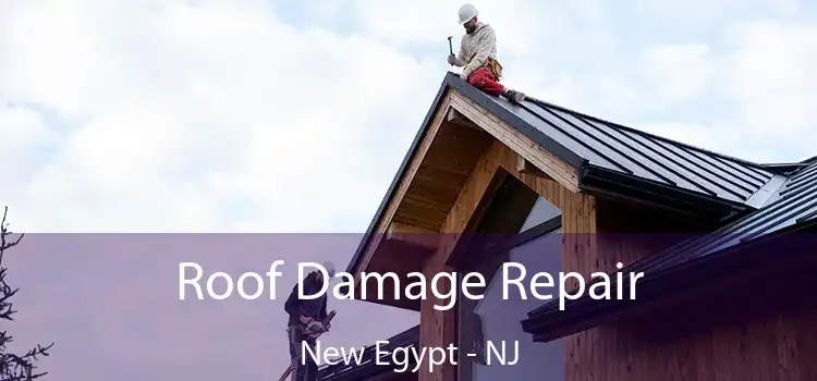 Roof Damage Repair New Egypt - NJ