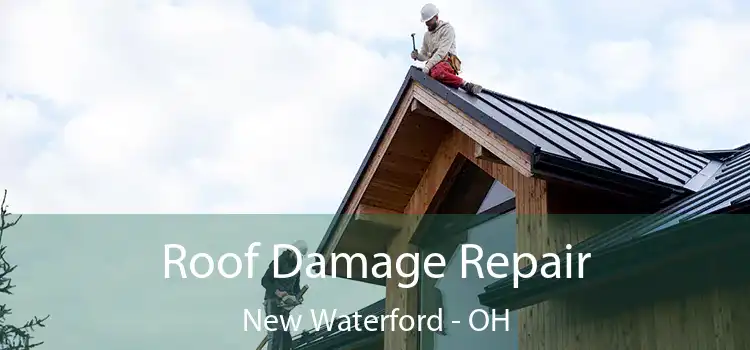 Roof Damage Repair New Waterford - OH