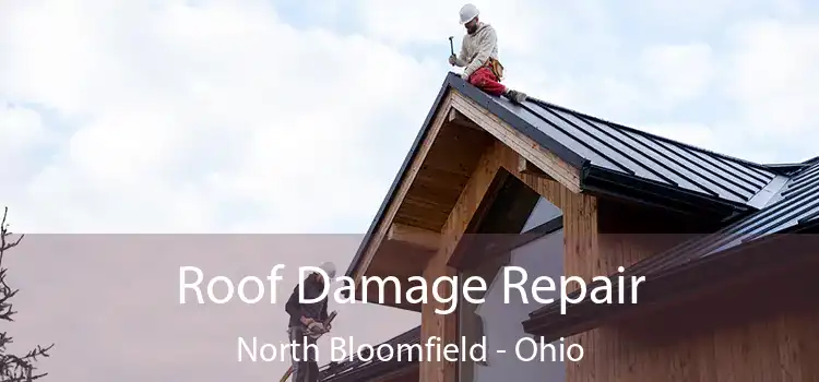 Roof Damage Repair North Bloomfield - Ohio