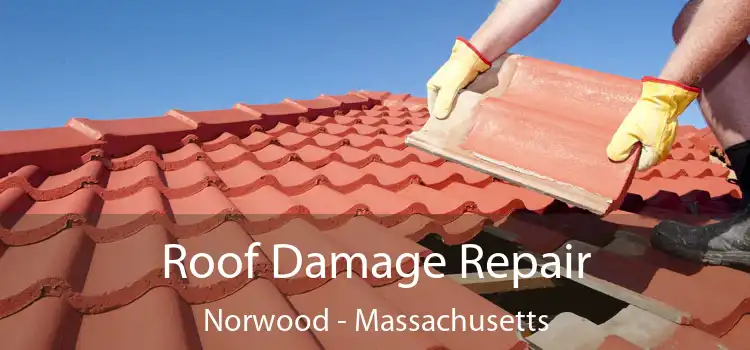 Roof Damage Repair Norwood - Massachusetts