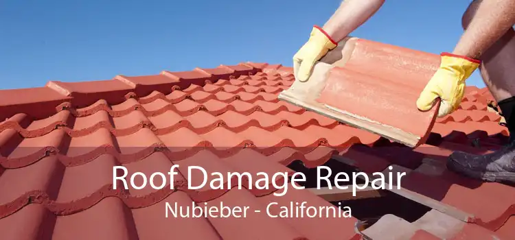 Roof Damage Repair Nubieber - California