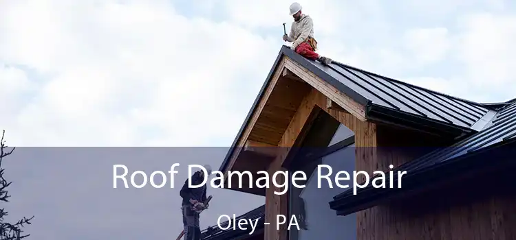 Roof Damage Repair Oley - PA