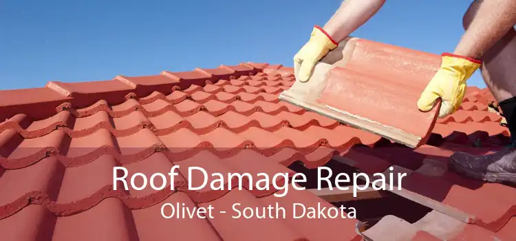 Roof Damage Repair Olivet - South Dakota
