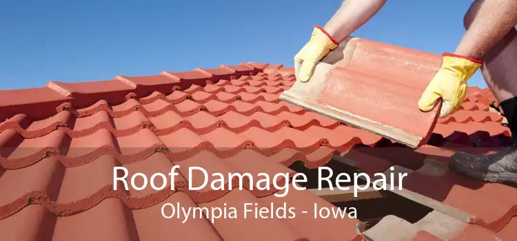 Roof Damage Repair Olympia Fields - Iowa