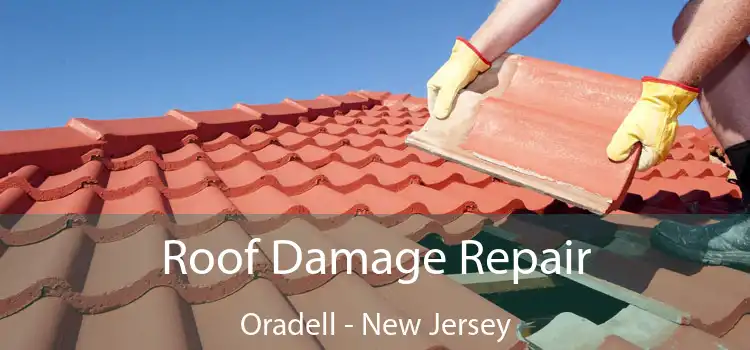 Roof Damage Repair Oradell - New Jersey