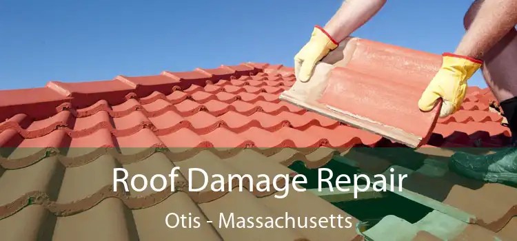 Roof Damage Repair Otis - Massachusetts