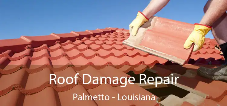 Roof Damage Repair Palmetto - Louisiana