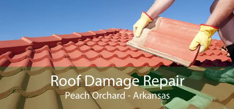 Roof Damage Repair Peach Orchard - Arkansas