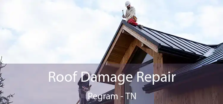 Roof Damage Repair Pegram - TN