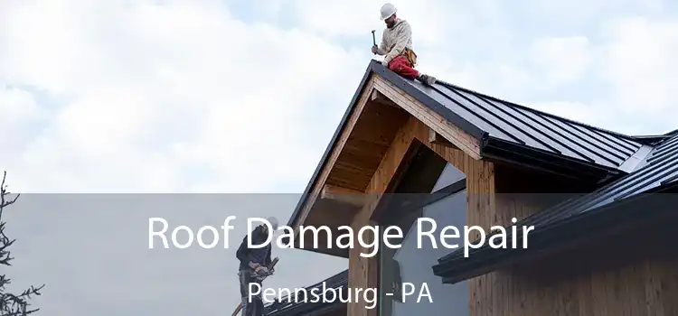 Roof Damage Repair Pennsburg - PA