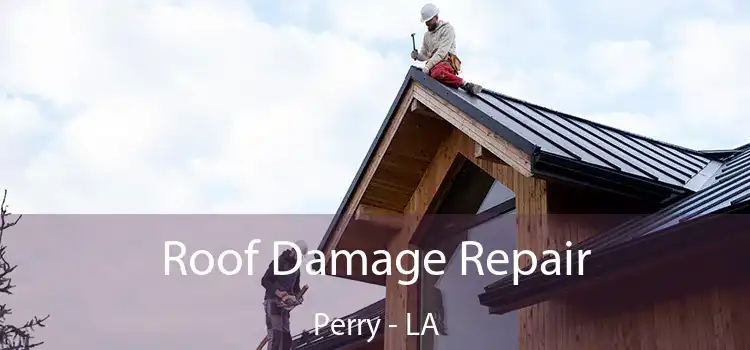 Roof Damage Repair Perry - LA