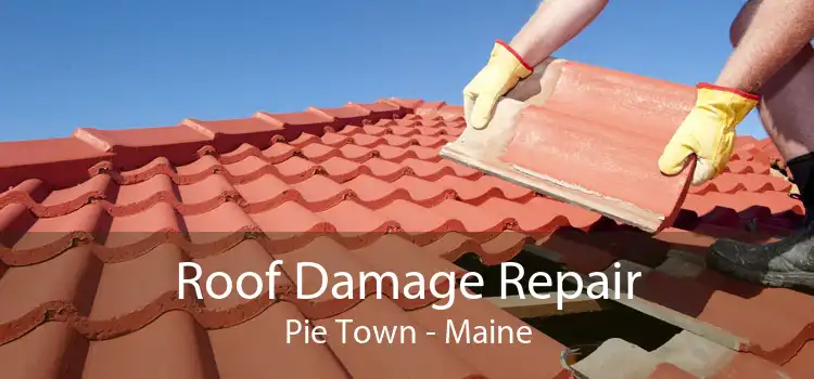 Roof Damage Repair Pie Town - Maine