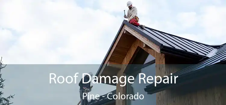 Roof Damage Repair Pine - Colorado