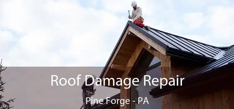 Roof Damage Repair Pine Forge - PA