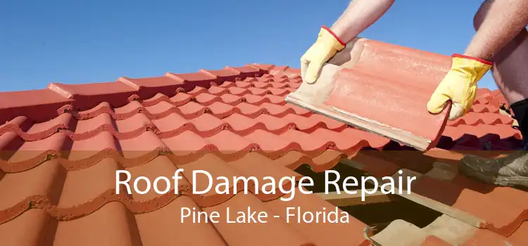 Roof Damage Repair Pine Lake - Florida