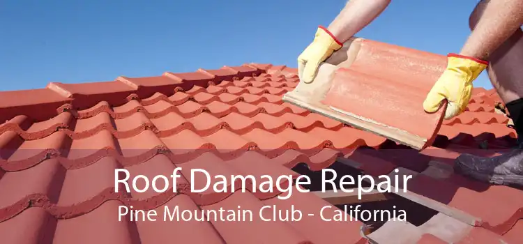 Roof Damage Repair Pine Mountain Club - California