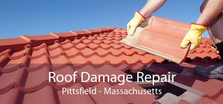 Roof Damage Repair Pittsfield - Massachusetts