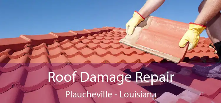 Roof Damage Repair Plaucheville - Louisiana