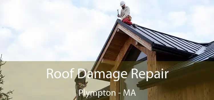 Roof Damage Repair Plympton - MA