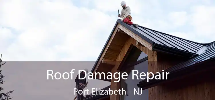 Roof Damage Repair Port Elizabeth - NJ