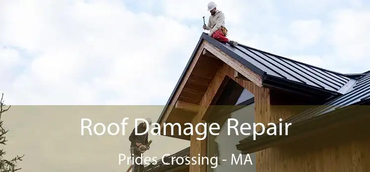 Roof Damage Repair Prides Crossing - MA