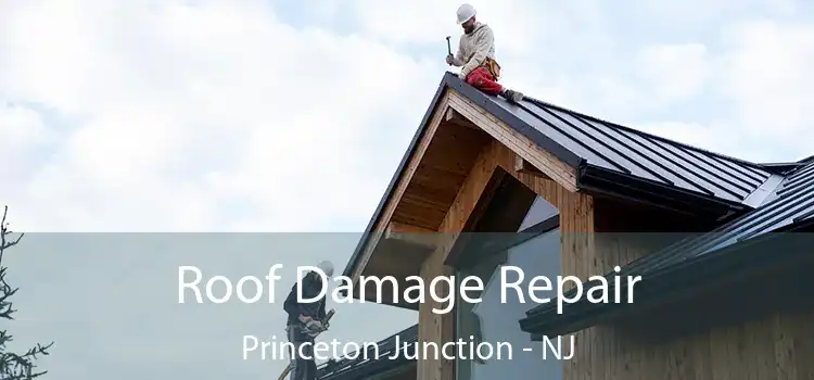 Roof Damage Repair Princeton Junction - NJ