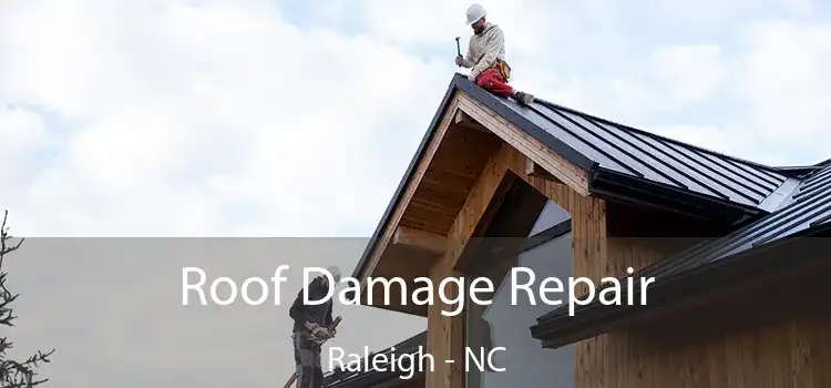 Roof Damage Repair Raleigh - NC