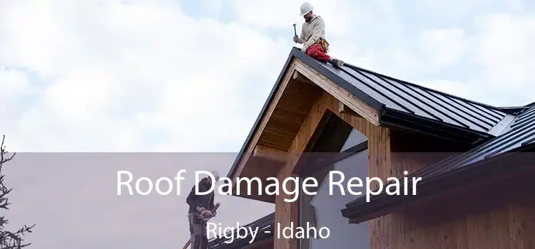 Roof Damage Repair Rigby - Idaho