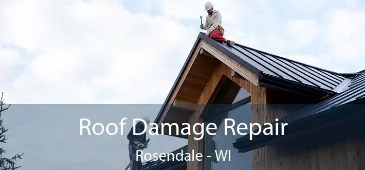 Roof Damage Repair Rosendale - WI