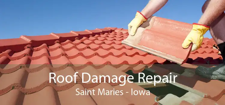 Roof Damage Repair Saint Maries - Iowa