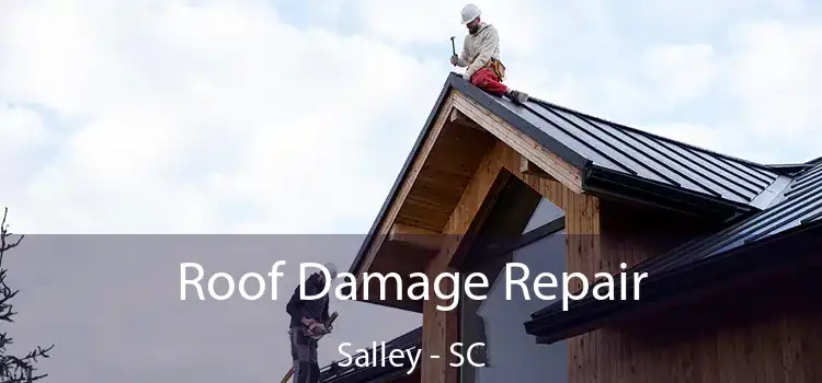 Roof Damage Repair Salley - SC