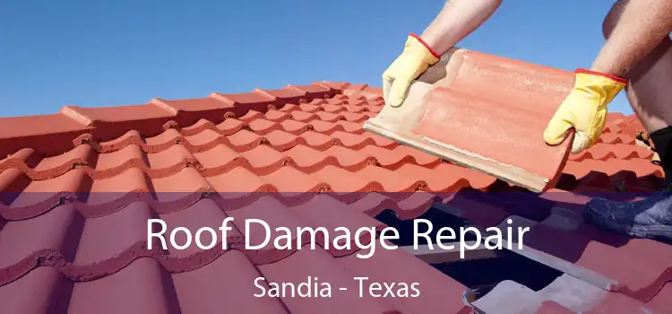 Roof Damage Repair Sandia - Texas