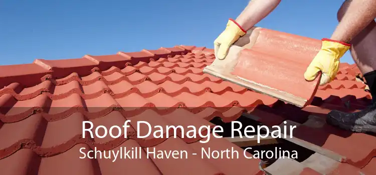 Roof Damage Repair Schuylkill Haven - North Carolina