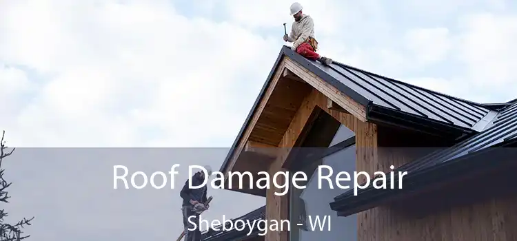 Roof Damage Repair Sheboygan - WI