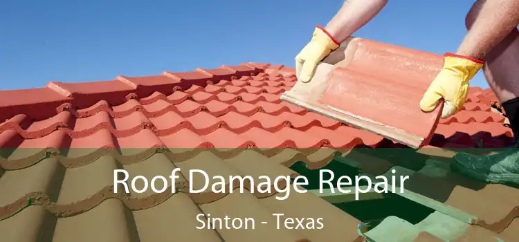 Roof Damage Repair Sinton - Texas