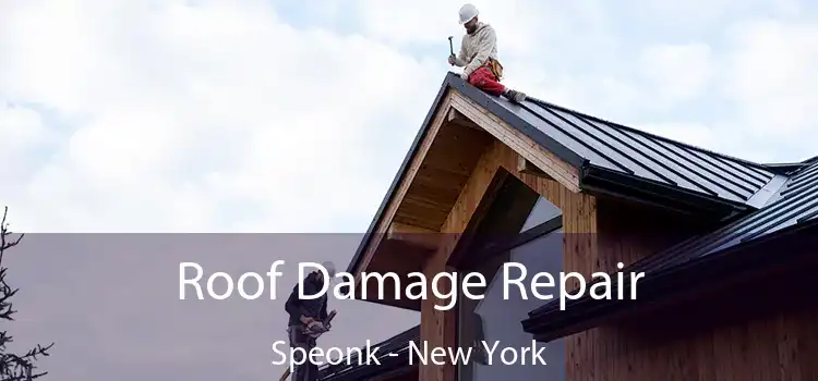 Roof Damage Repair Speonk - New York