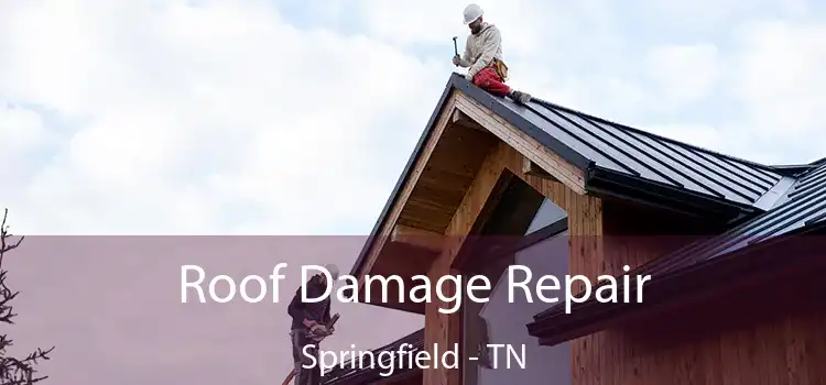 Roof Damage Repair Springfield - TN