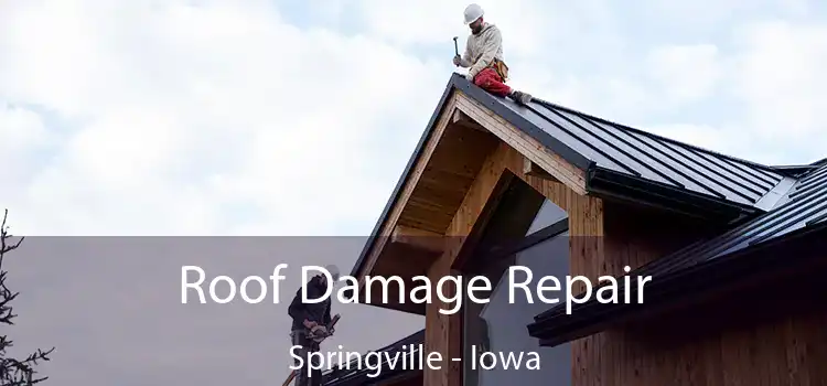 Roof Damage Repair Springville - Iowa