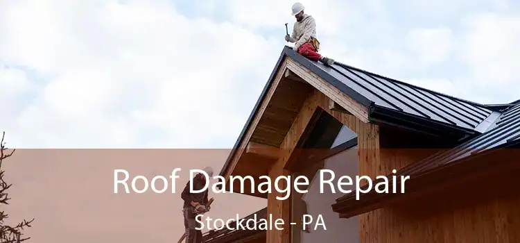 Roof Damage Repair Stockdale - PA