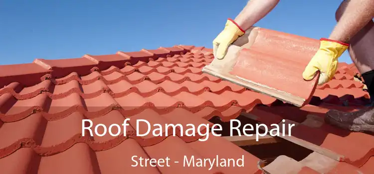 Roof Damage Repair Street - Maryland