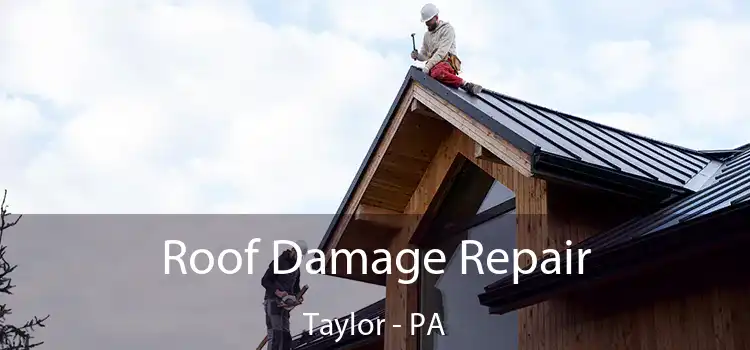 Roof Damage Repair Taylor - PA