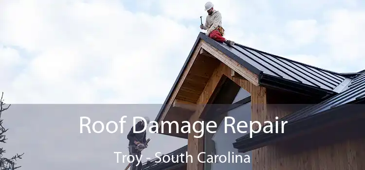 Roof Damage Repair Troy - South Carolina