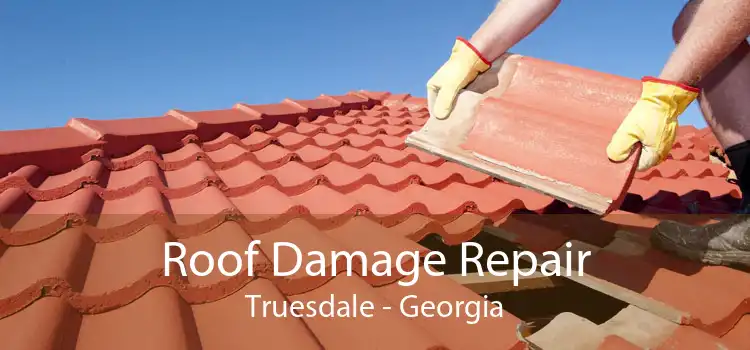 Roof Damage Repair Truesdale - Georgia