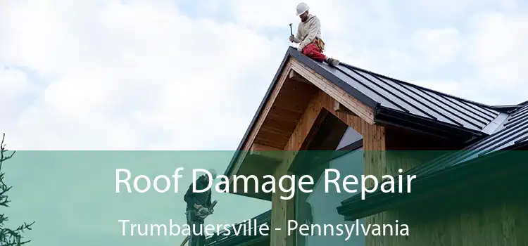 Roof Damage Repair Trumbauersville - Pennsylvania