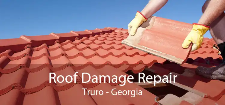 Roof Damage Repair Truro - Georgia