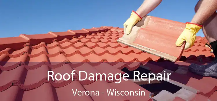 Roof Damage Repair Verona - Wisconsin