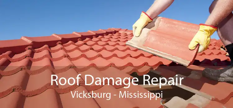 Roof Damage Repair Vicksburg - Mississippi