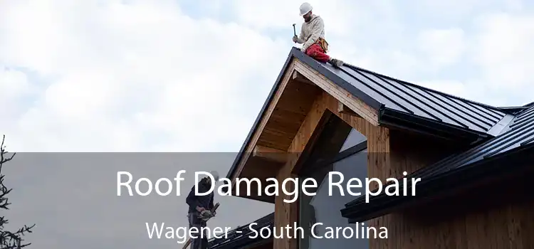 Roof Damage Repair Wagener - South Carolina